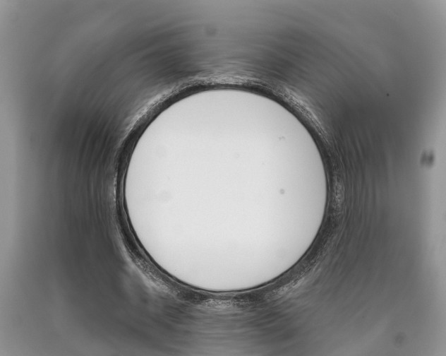 X0000090710534200707200953