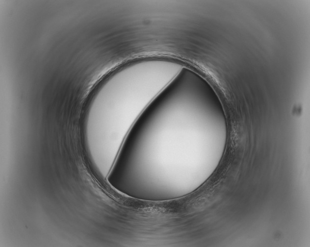 X0000090710535200707200953