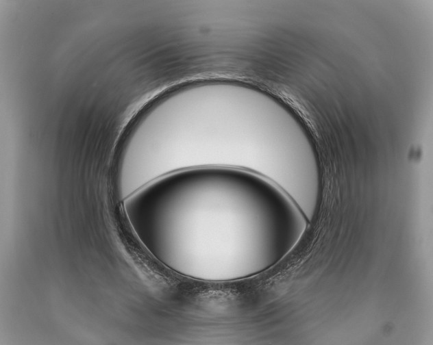 X0000090710536200707200953