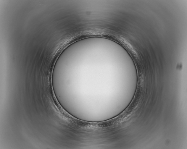 X0000090710537200707200953