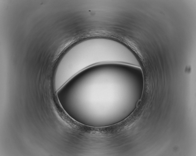 X0000090710538200707200953