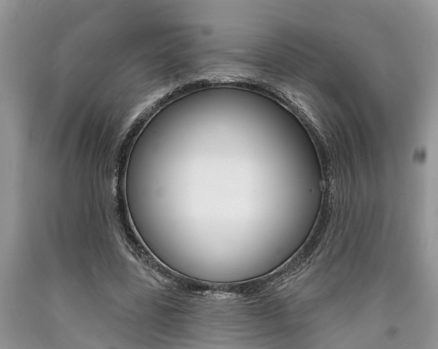 X0000090710539200707200953
