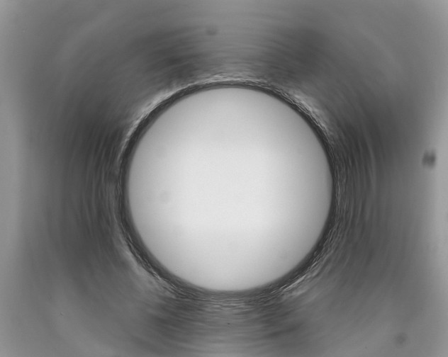 X0000090710540200707200953
