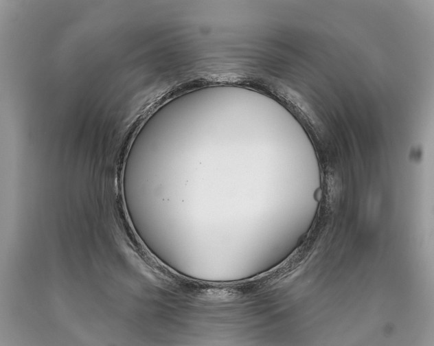 X0000090710541200707200953