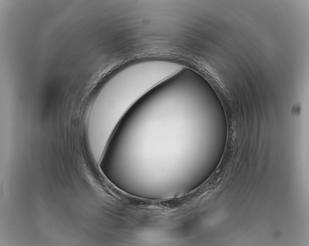 X0000090710542200707200953