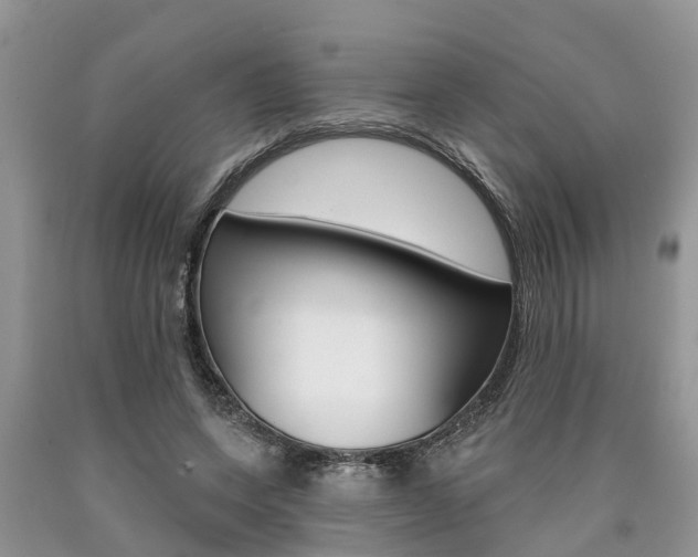 X0000090710543200707200953