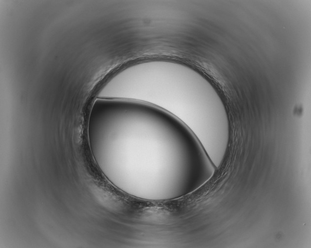 X0000090710544200707200953