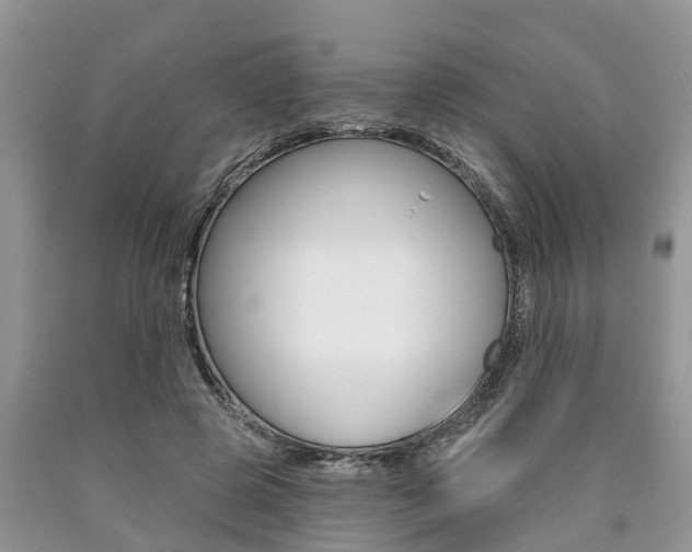 X0000090710545200707200953
