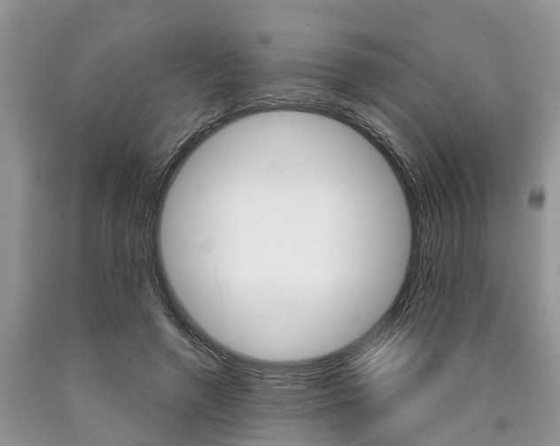 X0000090710546200707200953
