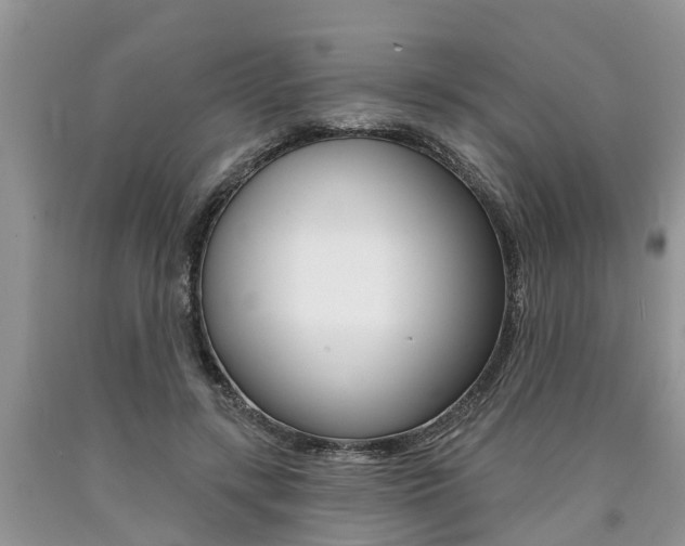 X0000090710547200707200953