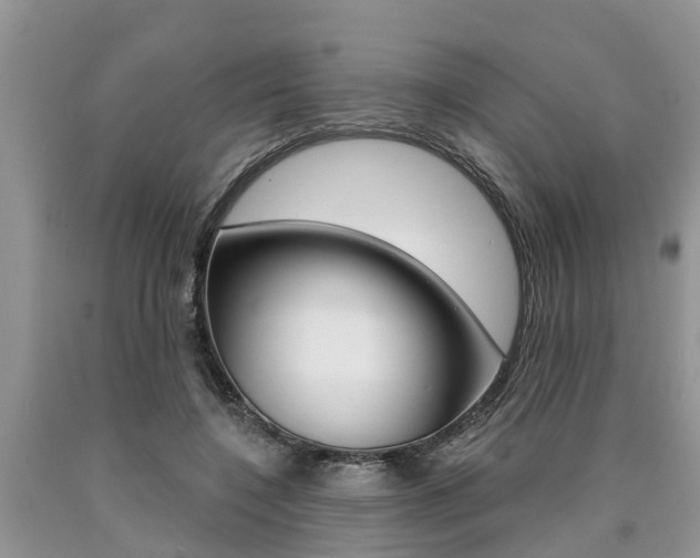 X0000090710548200707200954