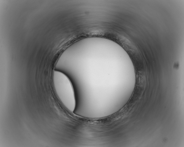 X0000090710550200707200954