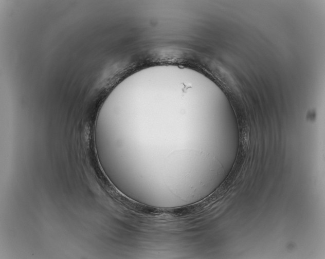X0000090710551200707200954