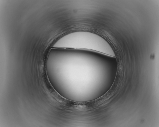 X0000090710552200707200954