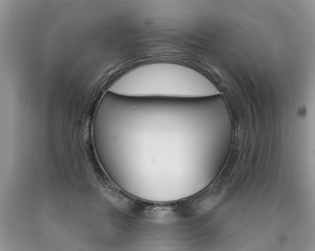 X0000090710554200707200954