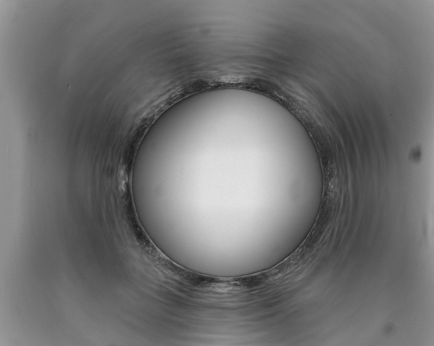 X0000090710555200707200954
