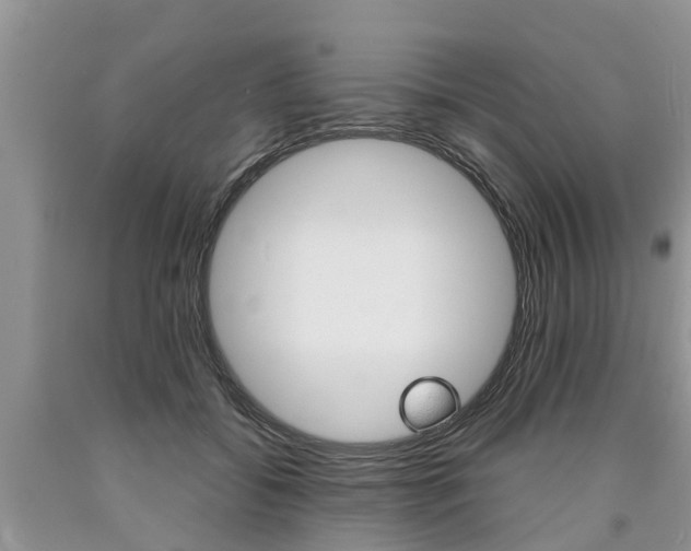 X0000090710556200707200954