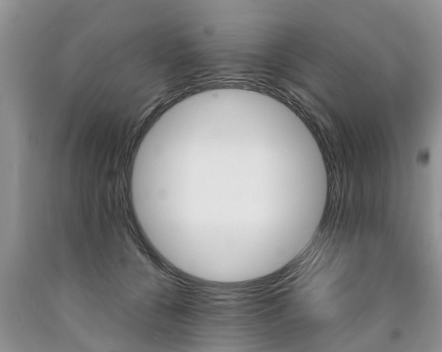 X0000090710560200707200954