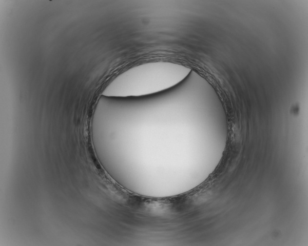X0000090710561200707200954