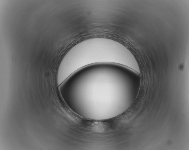 X0000090710562200707200954