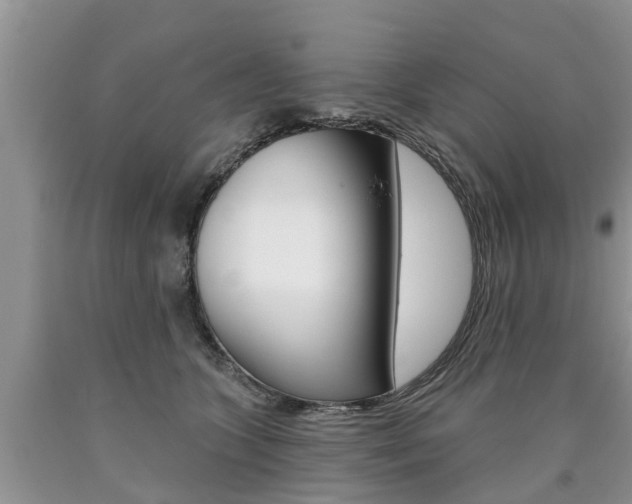 X0000090710563200707200954