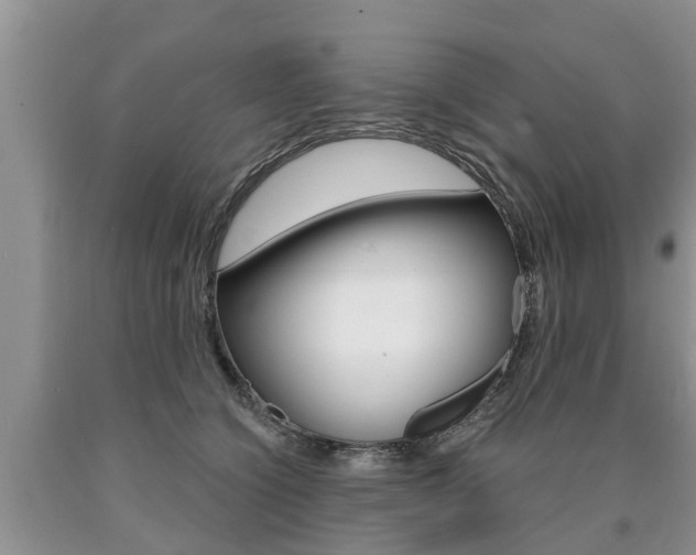 X0000090710564200707200954