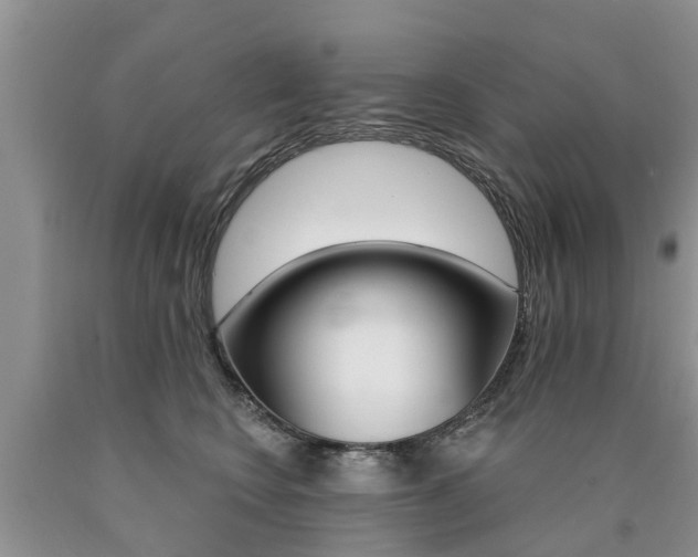 X0000090710566200707200954