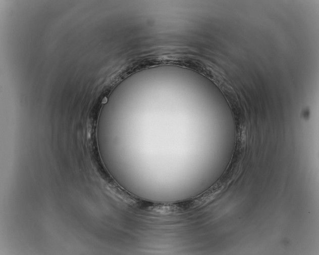 X0000090710567200707200954
