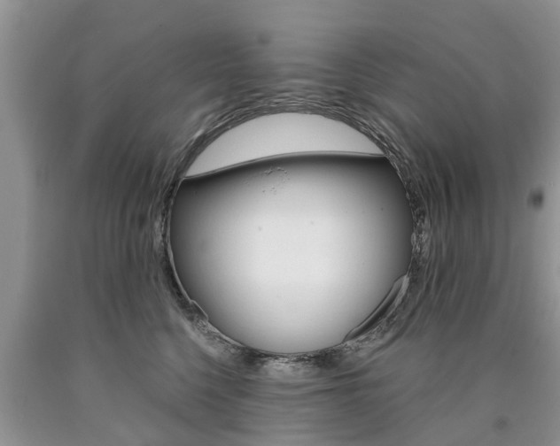 X0000090710568200707200954