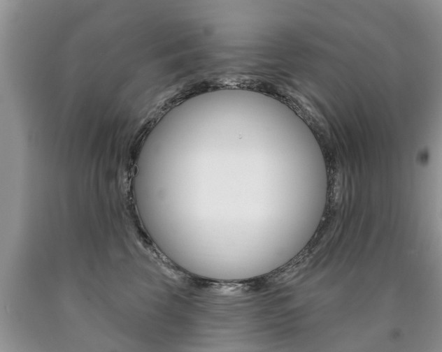 X0000090710569200707200954