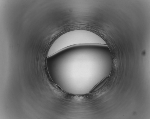 X0000090710570200707200954