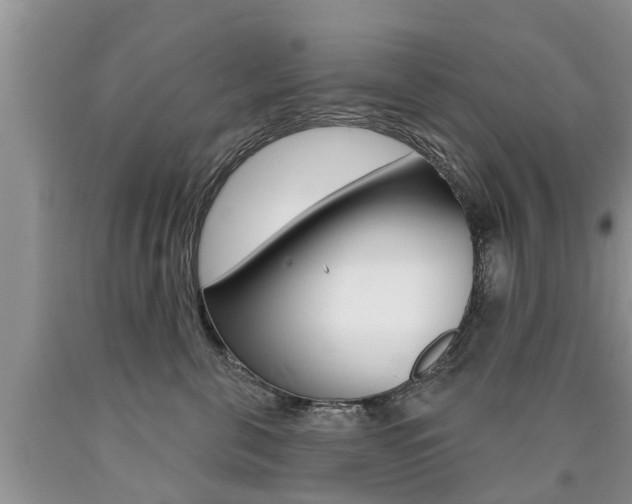 X0000090710571200707200954