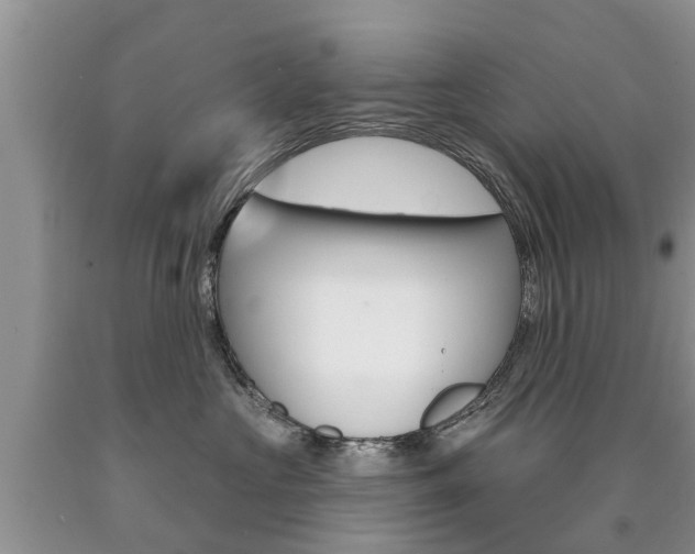 X0000090710573200707200954