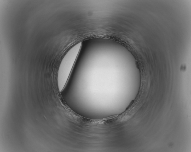 X0000090710576200707200954
