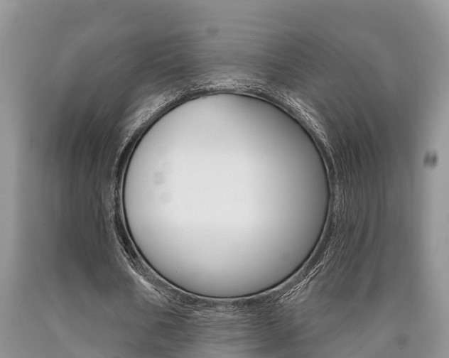 X0000090710578200707200953