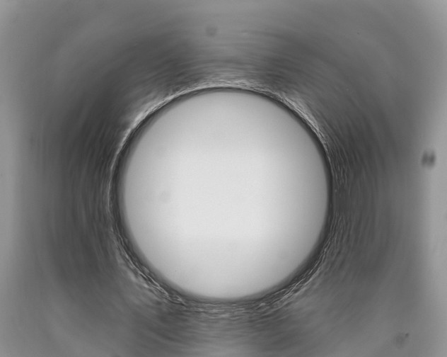 X0000090710579200707200953