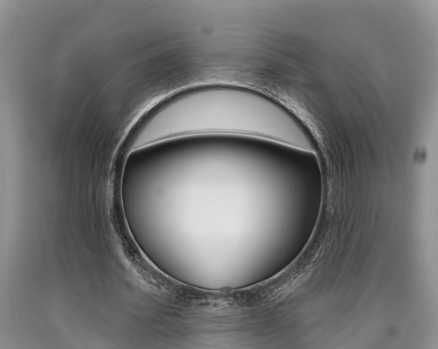 X0000090710580200707200953