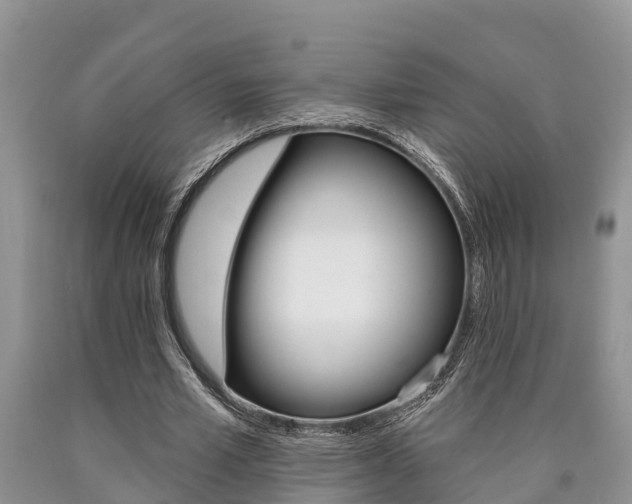 X0000090710581200707200953