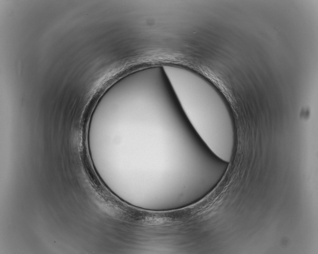 X0000090710582200707200953