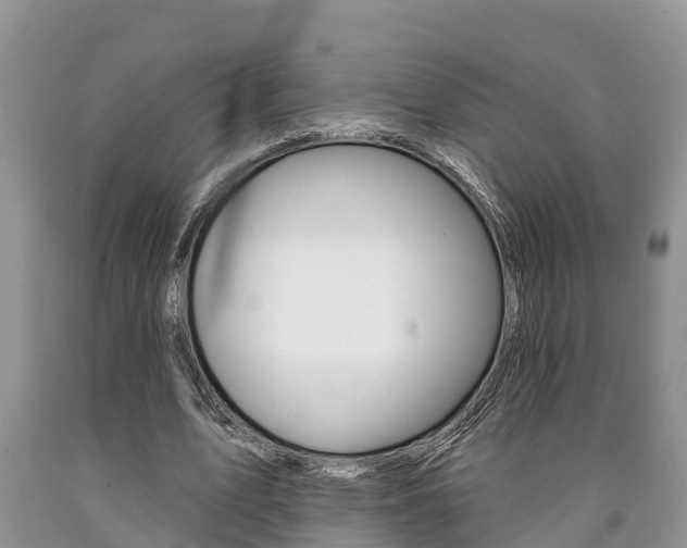 X0000090710583200707200953