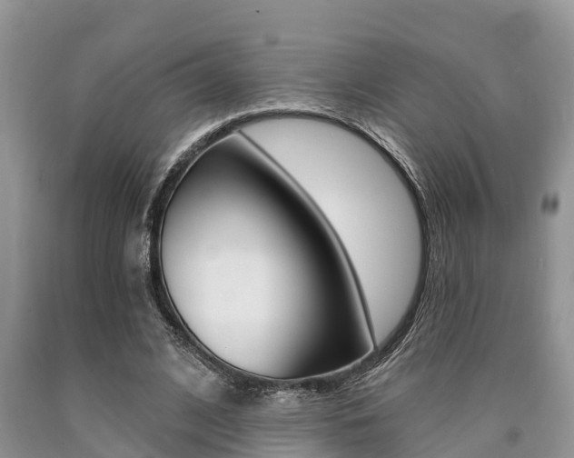 X0000090710584200707200953