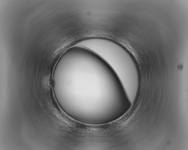X0000090710585200707200953