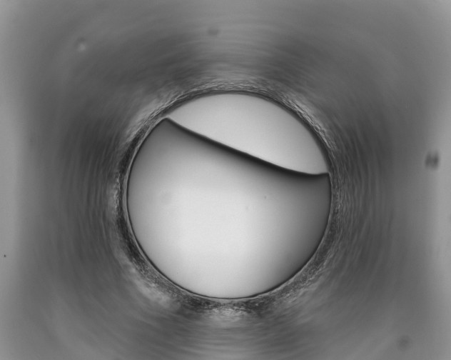 X0000090710586200707200953