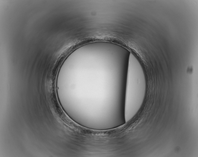 X0000090710587200707200953