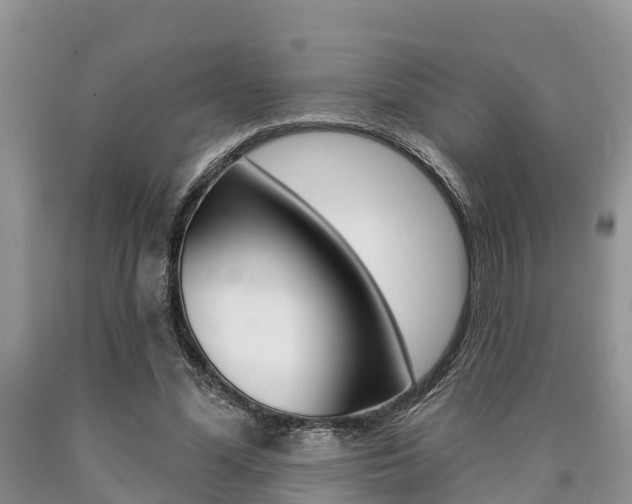 X0000090710588200707200953