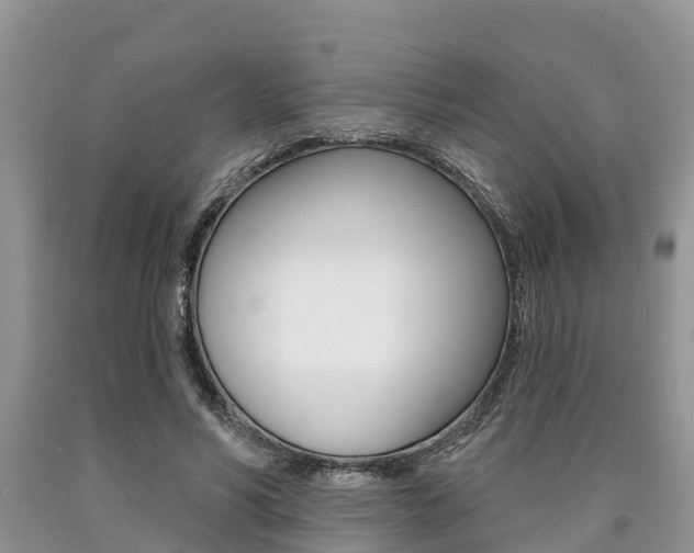 X0000090710590200707200953