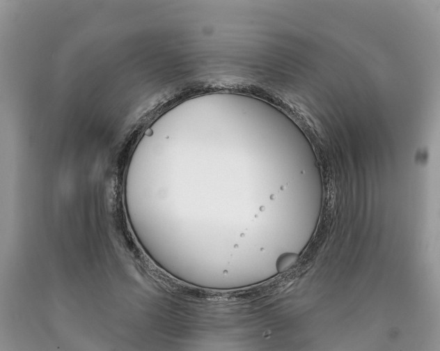 X0000090710591200707200953