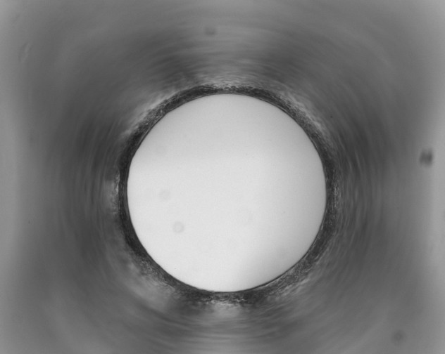 X0000090710592200707200953