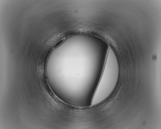 X0000090710593200707200953