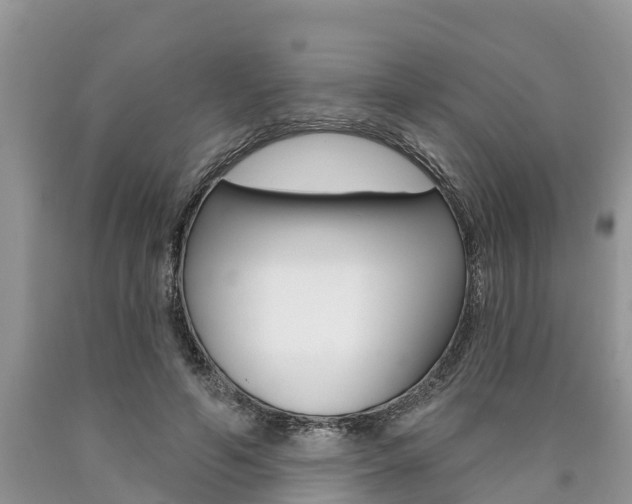 X0000090710594200707200953